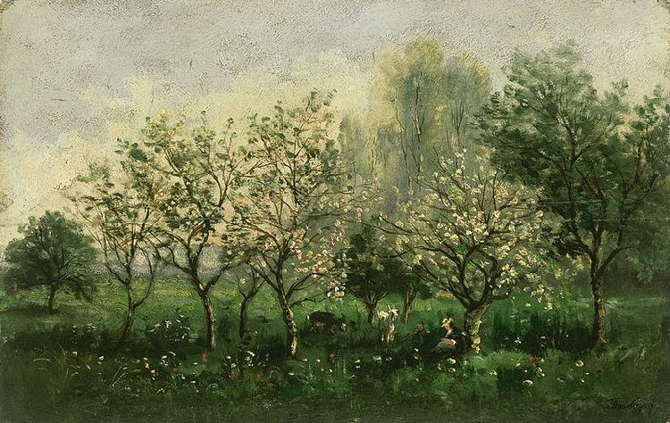  Apple Trees in Blossom